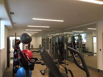 Resistance equipment and free weights